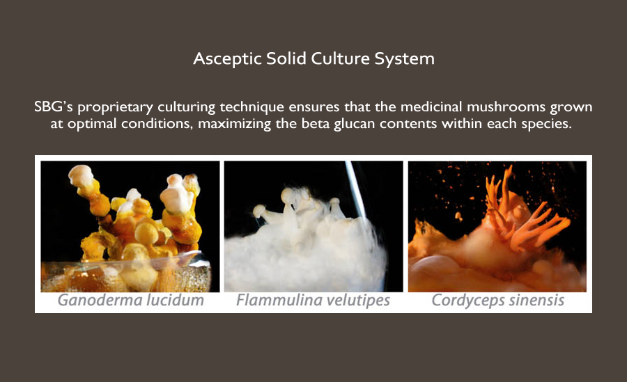 Super Beta Glucan, Medicinal Mushroom Beta Glucans for Immune Health